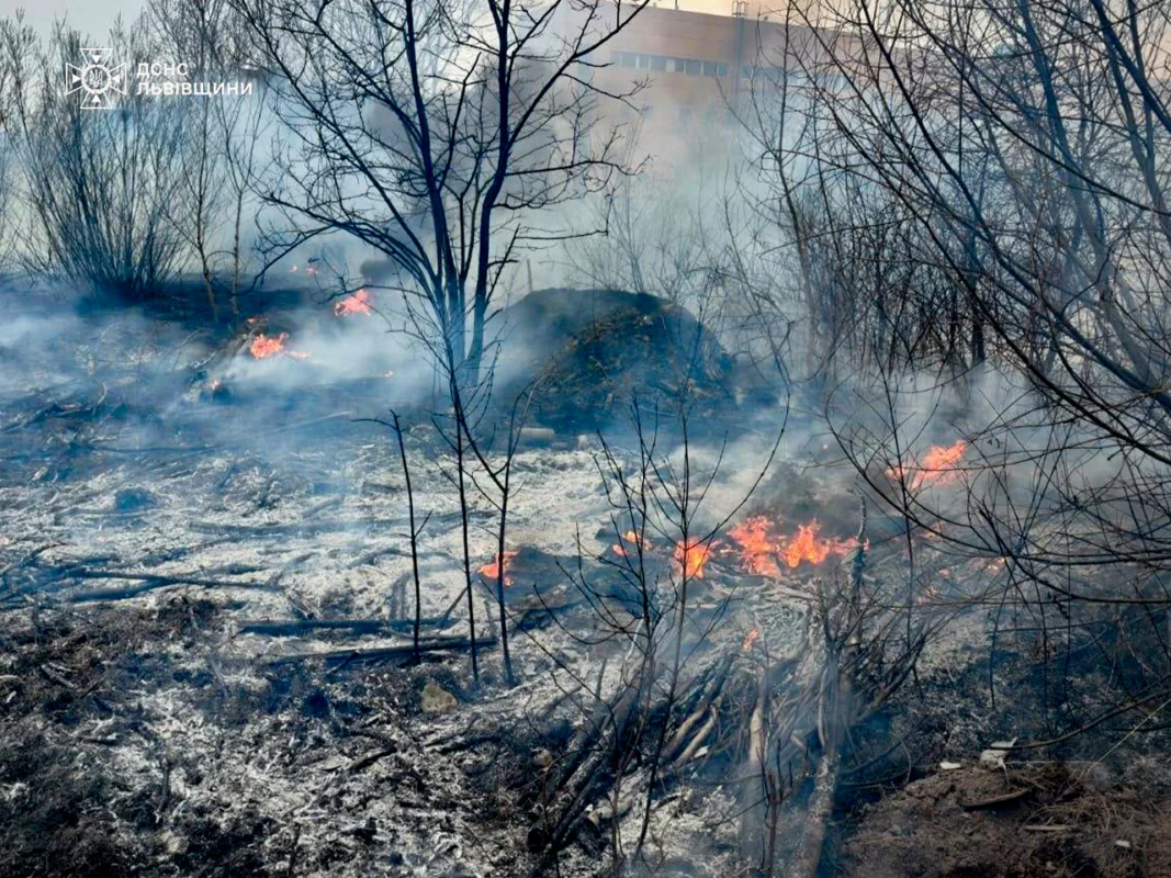 На Львівщині за добу 56 разів палили суху траву