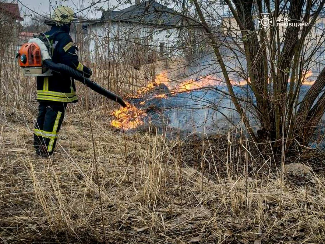 На Львівщині за добу 56 разів палили суху траву