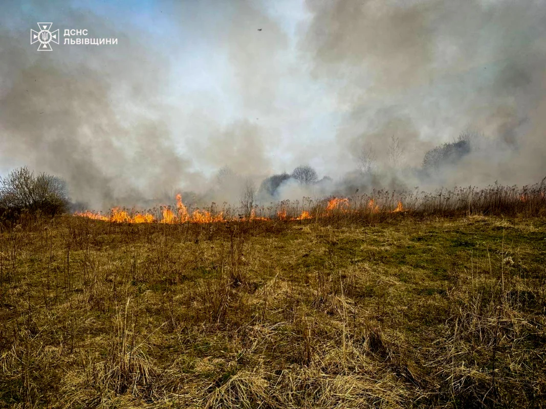 На Львівщині за добу 56 разів палили суху траву