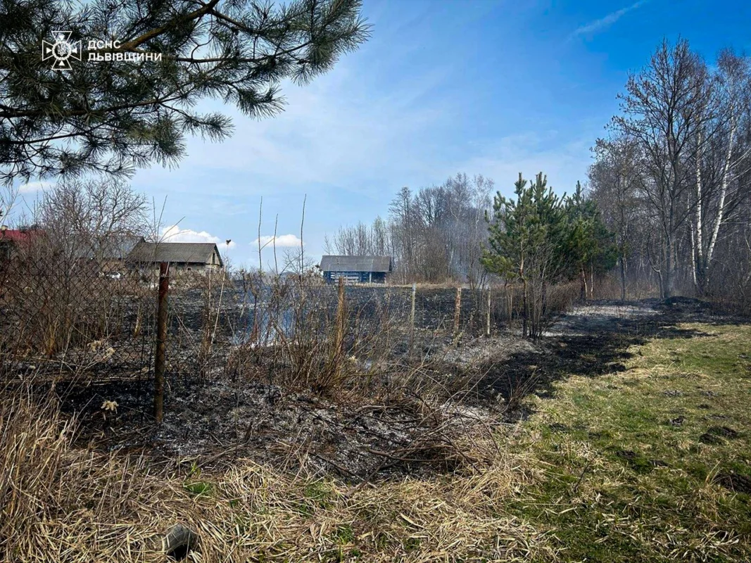 На Львівщині за добу 56 разів палили суху траву