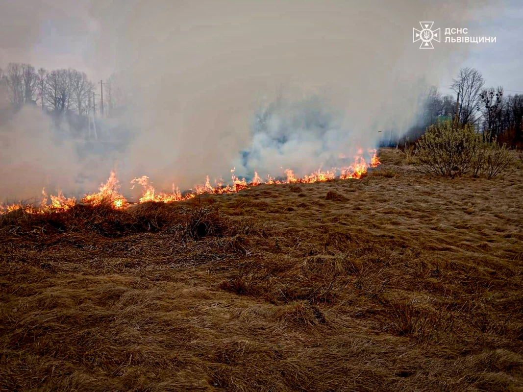 На Львівщині за добу 56 разів палили суху траву