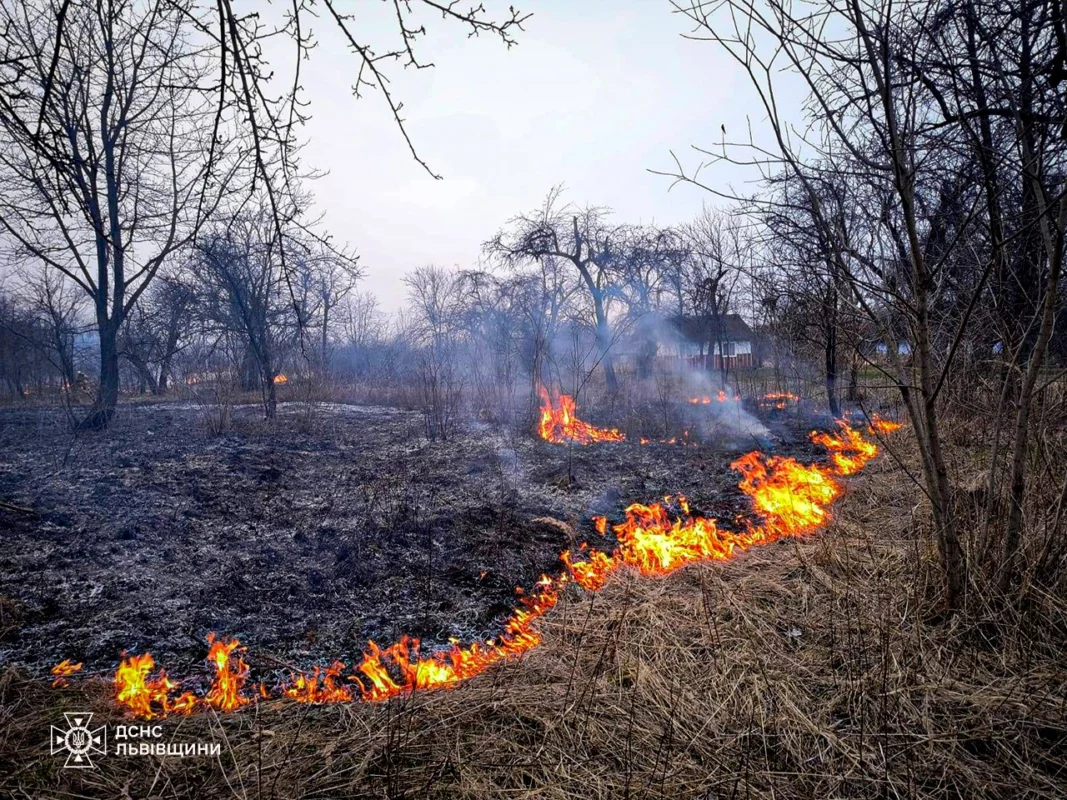 На Львівщині за добу 56 разів палили суху траву