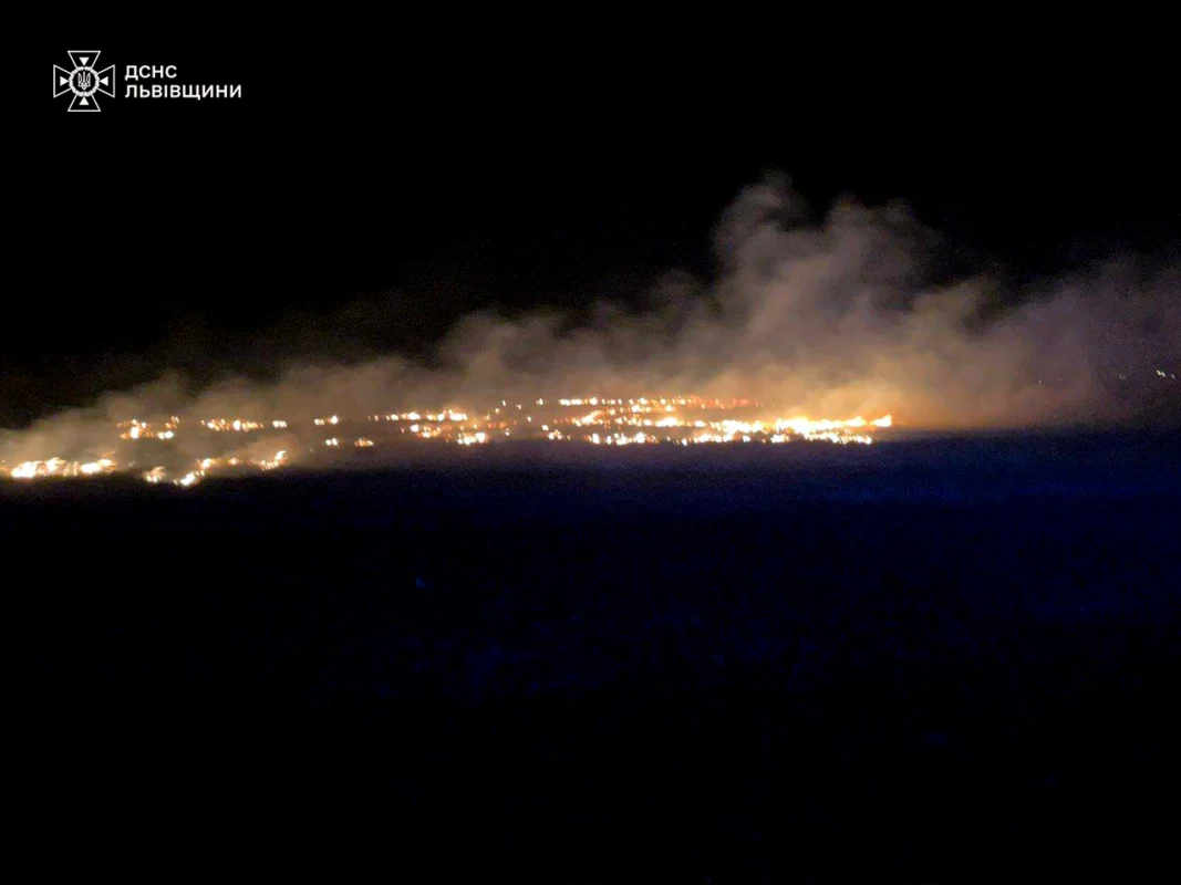 На Львівщині за добу 56 разів палили суху траву