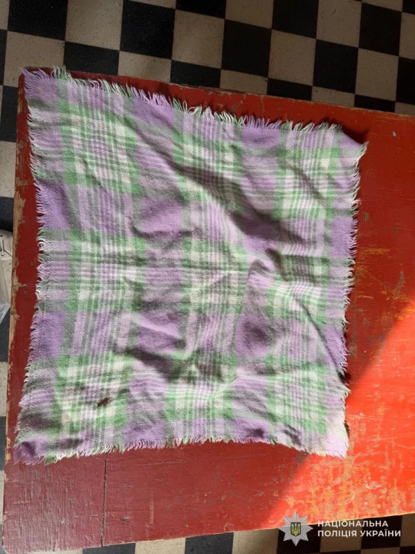 МВС шукає очевидців смертельної ДТП у Стрийському районі