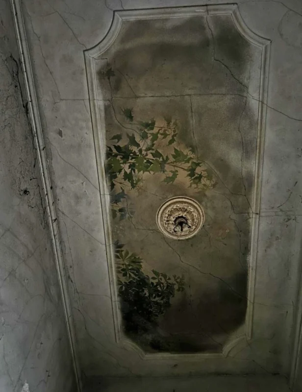 У Львові продають сецесійну віллу за 800 000 доларів