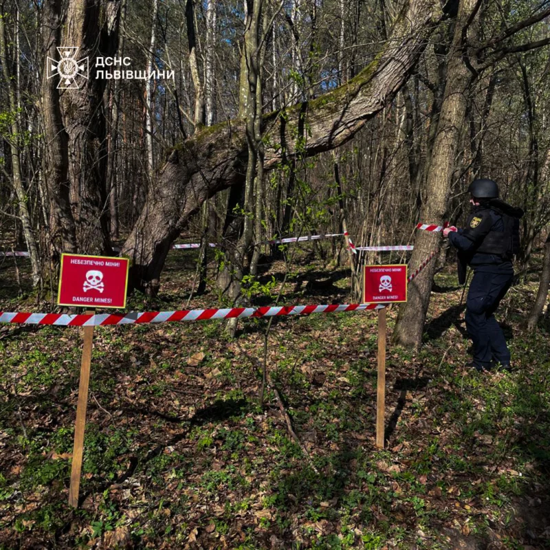 На Львівщині знайшли застарілий боєприпас