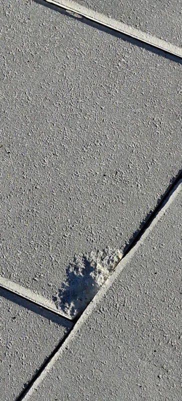 У Львові у спальному районі виник скандал через елементи доступності (ФОТО)