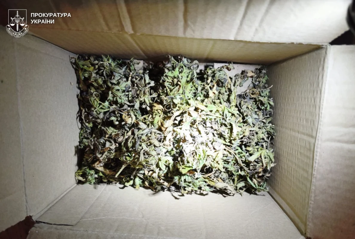 Канабіс при зустрічі за готівку: судитимуть мешканця Бродів