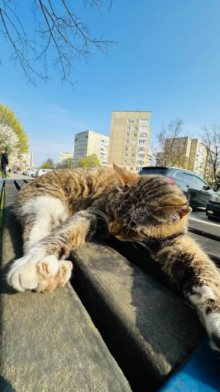 У Львові у спальному районі виник скандал через елементи доступності (ФОТО)