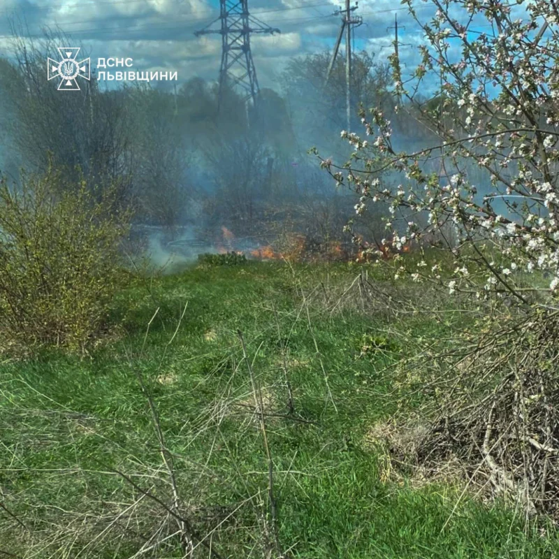 На Львівщині за добу 15 разів палили суху траву