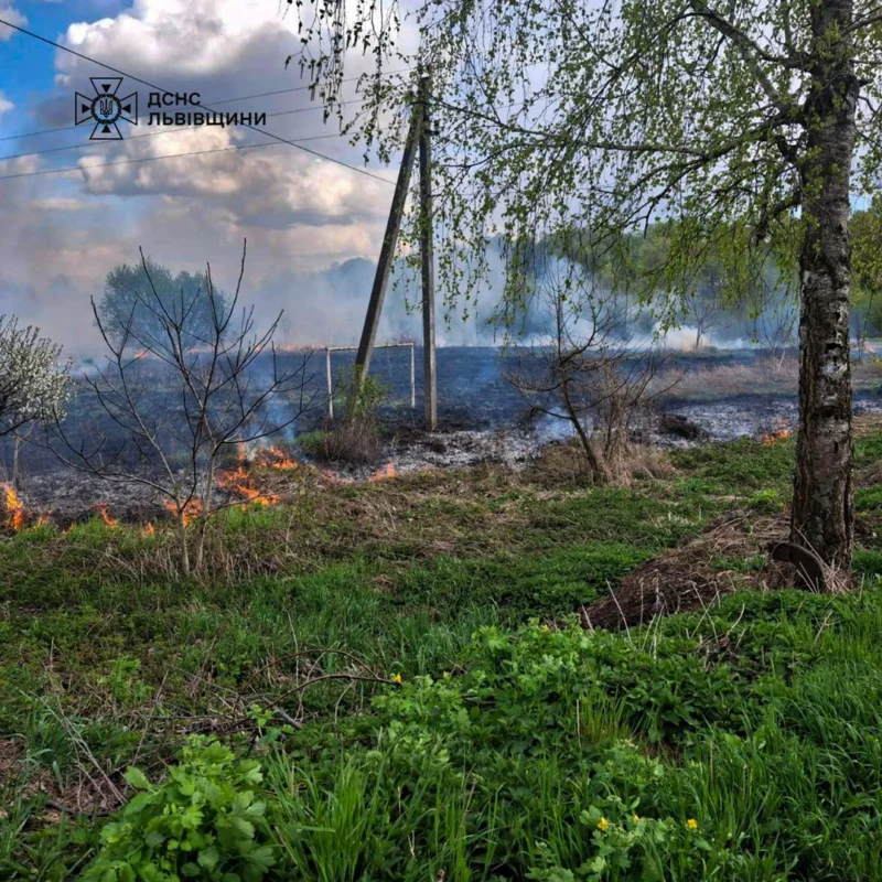 На Львівщині за добу 15 разів палили суху траву
