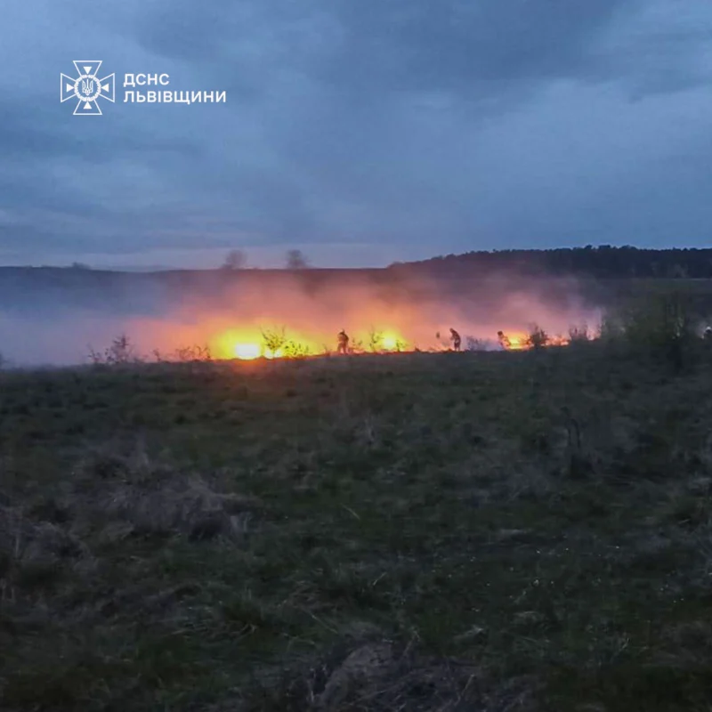 На Львівщині за добу 15 разів палили суху траву