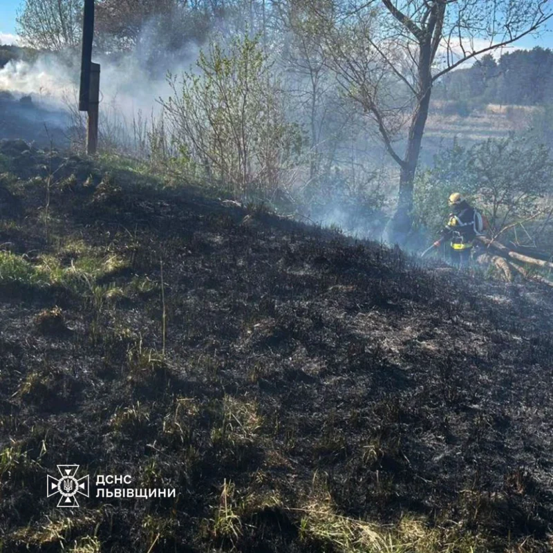 На Львівщині за добу 15 разів палили суху траву