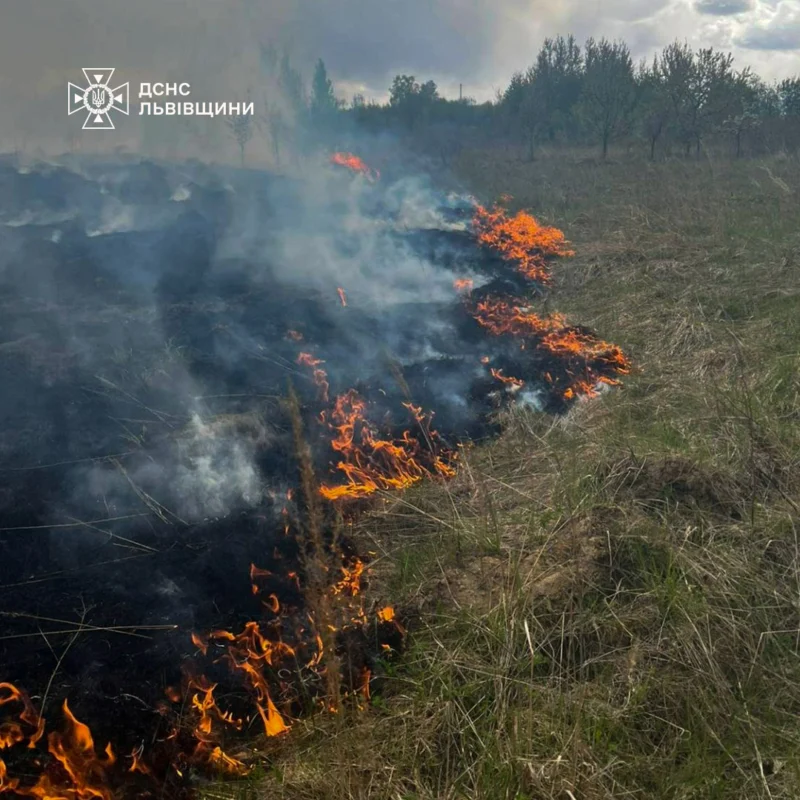 На Львівщині за добу 15 разів палили суху траву