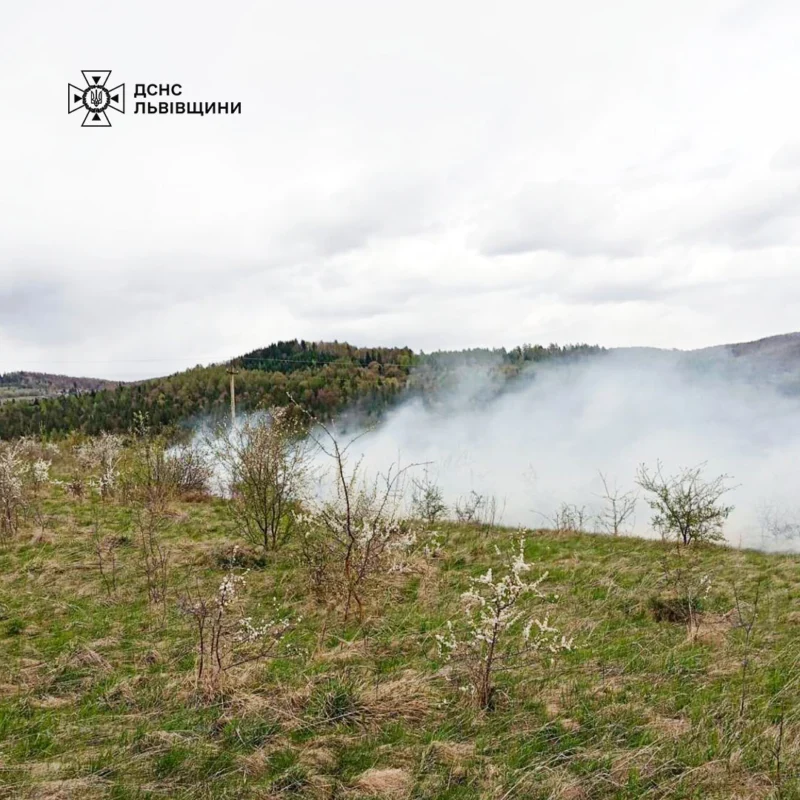 На Львівщині за добу 15 разів палили суху траву