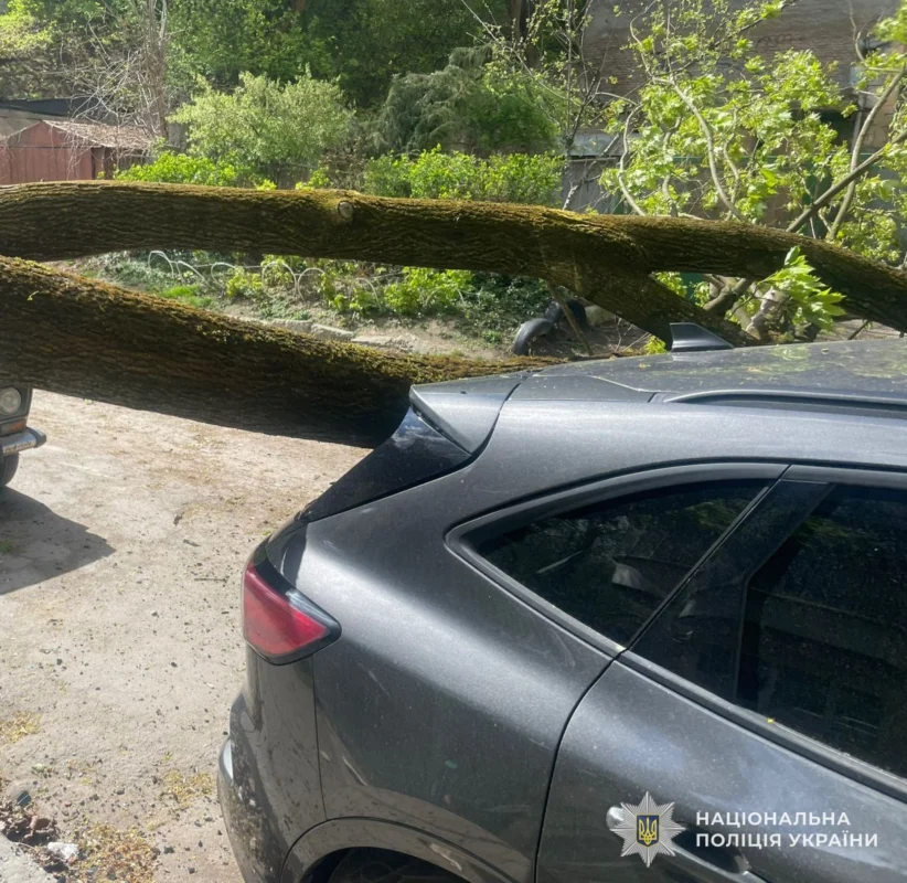 На Львівщині від негоди постраждав 46-річний водій