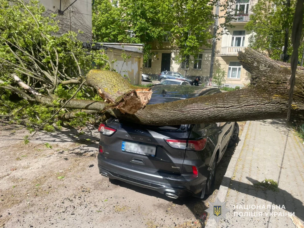 На Львівщині від негоди постраждав 46-річний водій