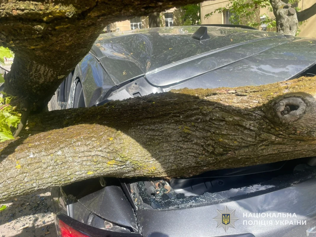 На Львівщині від негоди постраждав 46-річний водій