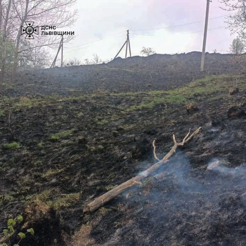 На Львівщині за добу 15 разів палили суху траву