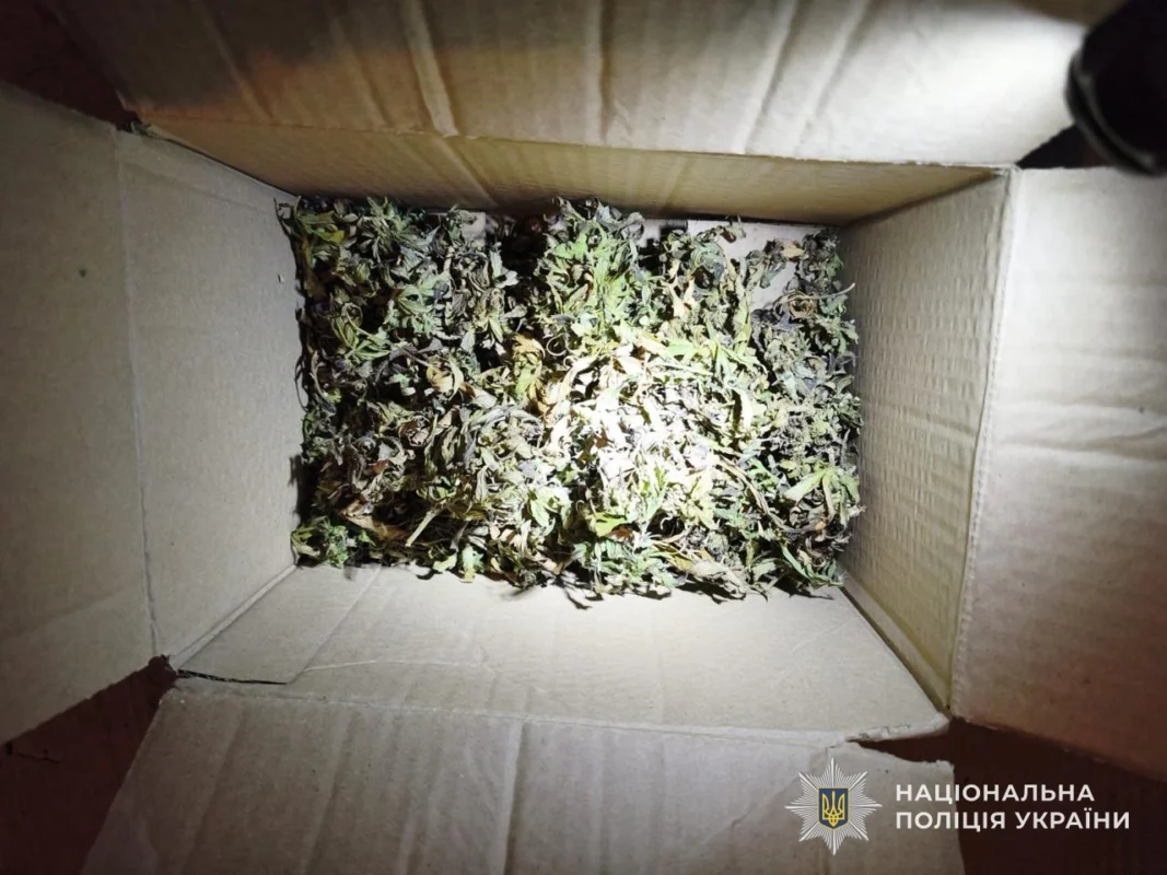 На Львівщині 45-річний чоловік продавав зброю та канабіс