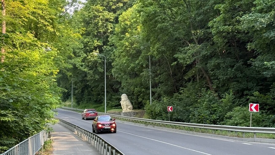 Садовий позрізає дерева на Личаківській