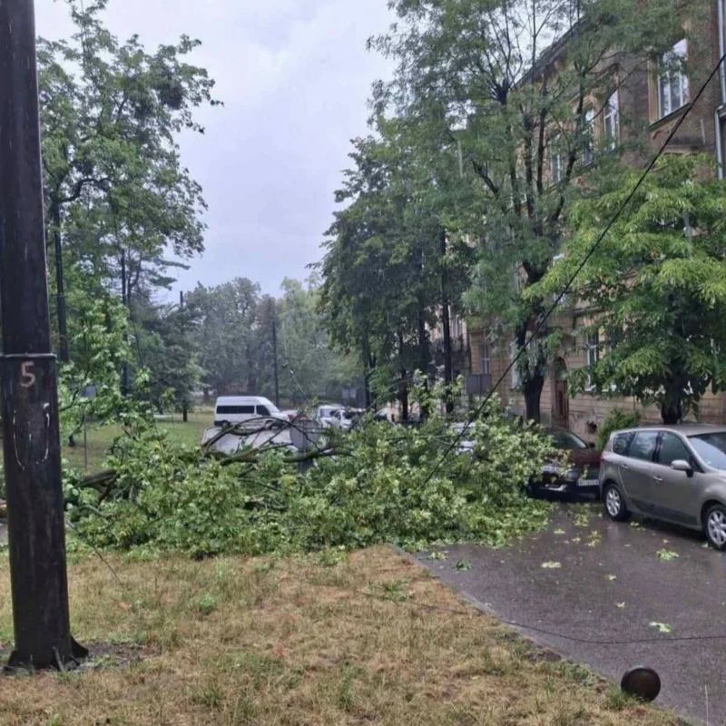 У Львові перекрили популярну вулицю (ФОТО)