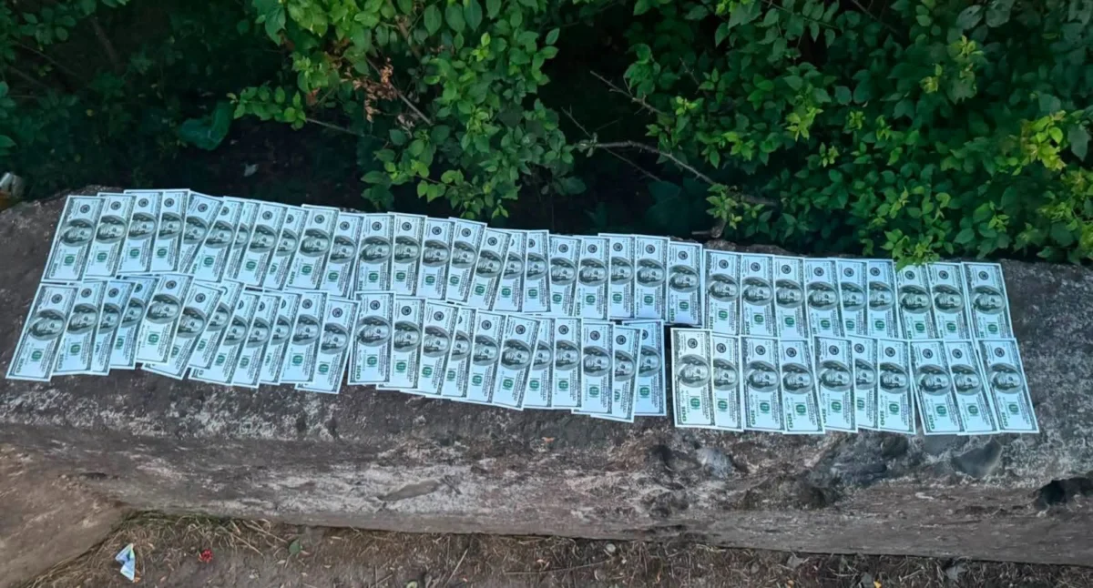 На Закарпатті викрили два канали незаконного переправлення осіб через державний кордон