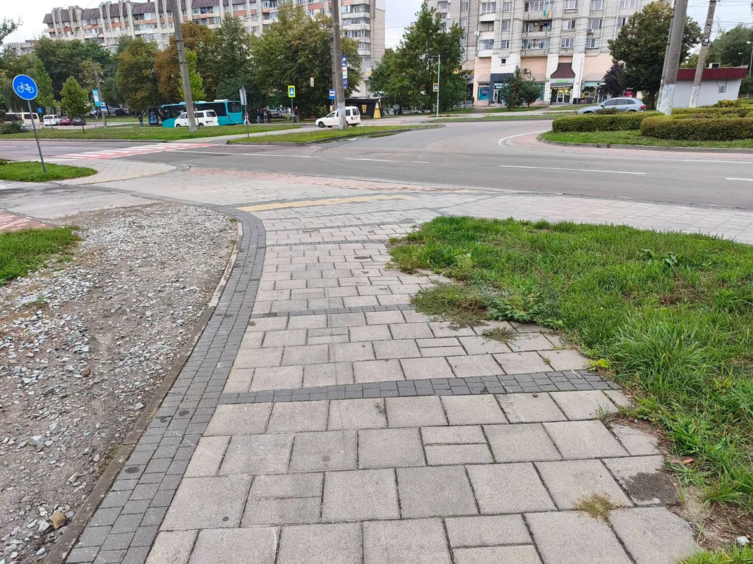 У Львові заростає улюблений проспект Любомира Зубача