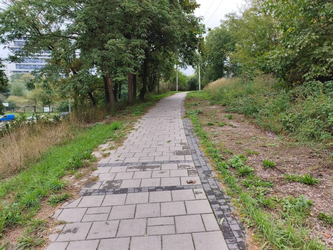 У Львові заростає улюблений проспект Любомира Зубача