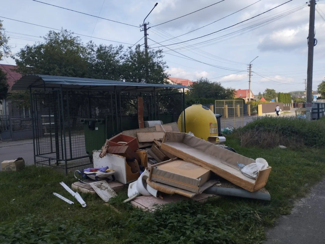 У Львові утворилось стихійне сміттєзвалище